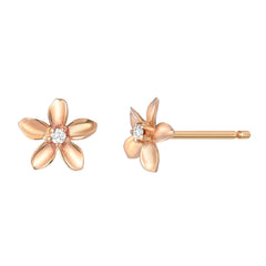 plumeria tropical flower stud earrings